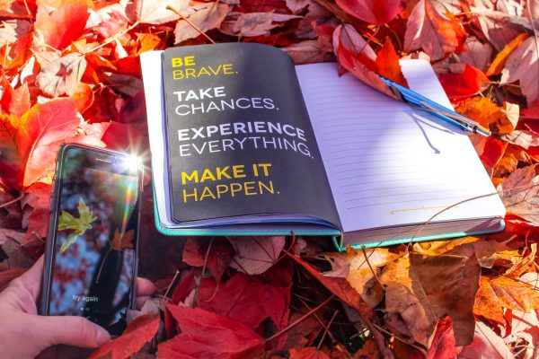 nominated-if-at-first-you-dont-succeed-try-again-be-brave-take-chances-experience-everything-make-it_t20_v3l3XO